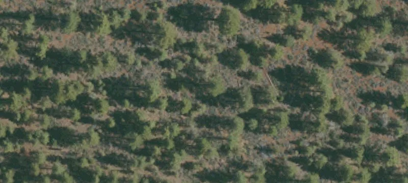 Litchfield, CA 96117