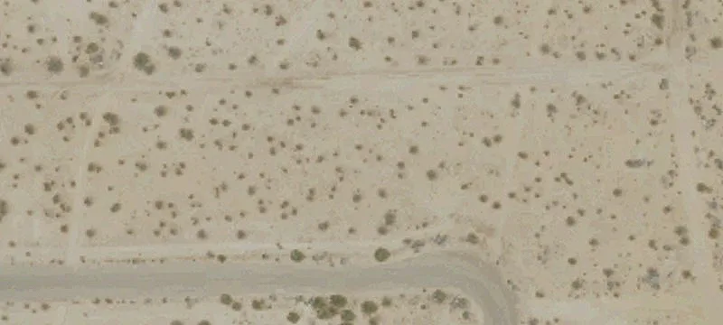 California City, CA 93505