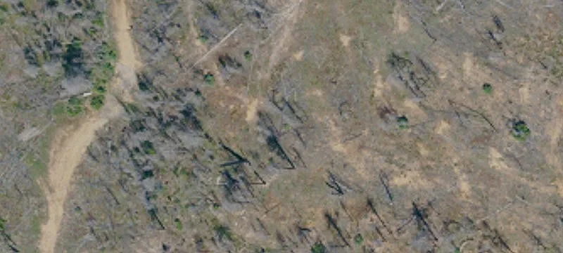 22677 Elk Mtn Rd