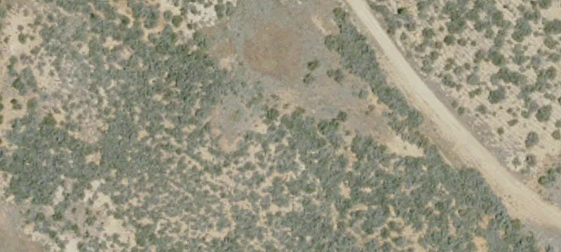 Bieber, CA 96009