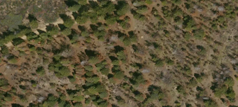 Elk Creek, CA 95939