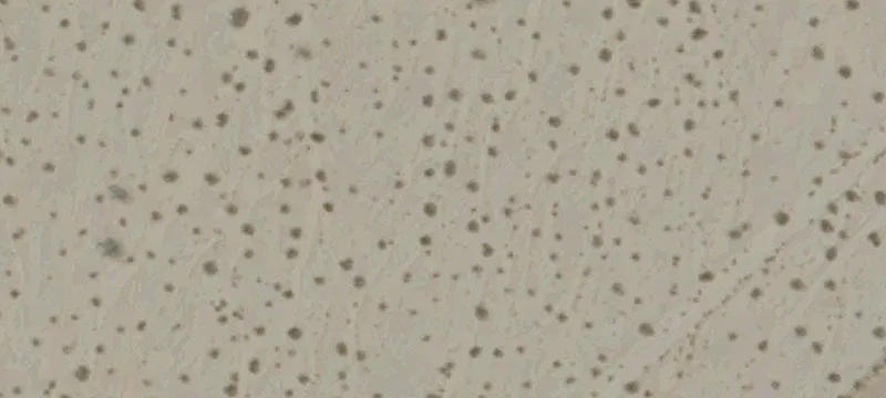 Desert Center, CA 92239