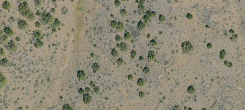 Madeline, CA 96119