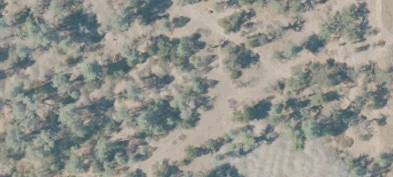 Cottonwood, CA 96022