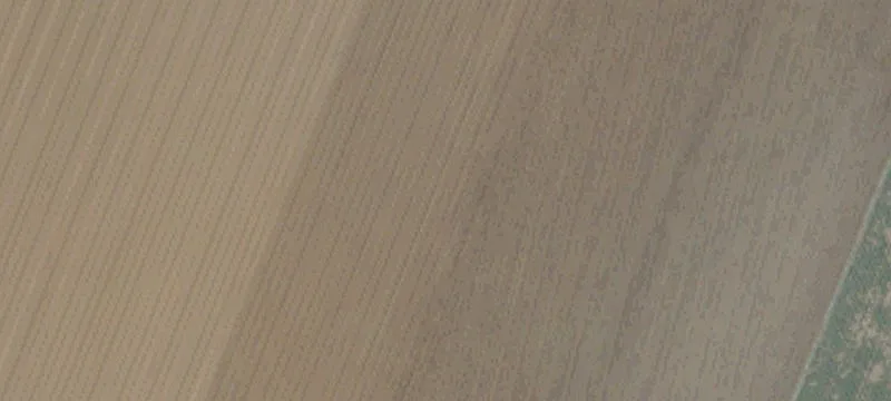 Salinas, CA 93906