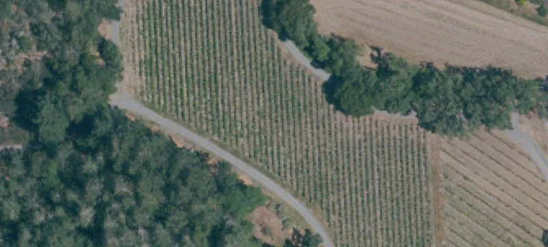 Calistoga, CA 94515