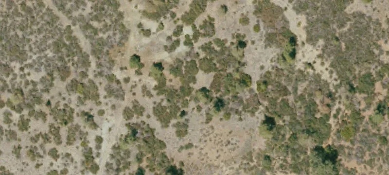 Cantua Creek, CA 93608