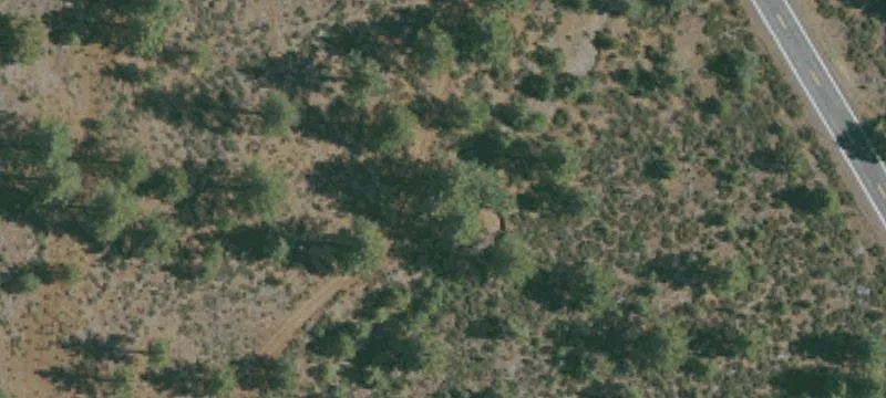 Litchfield, CA 96117