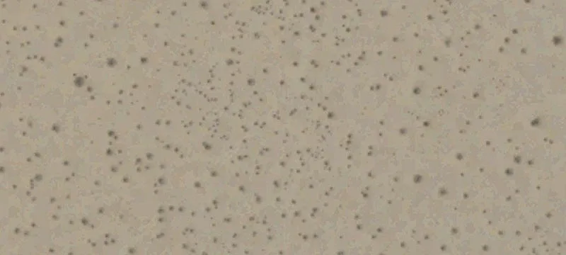 California City, CA 93505