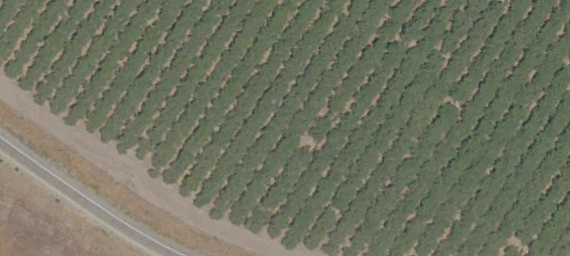 Chowchilla, CA 93610