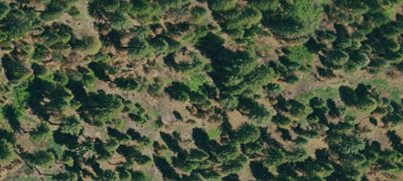 Westwood, CA 96137