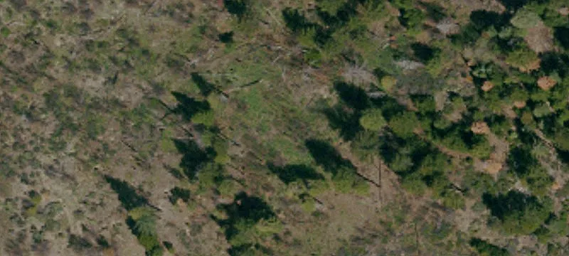Elk Creek, CA 95939