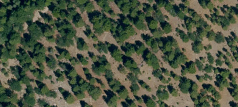 Janesville, CA 96114