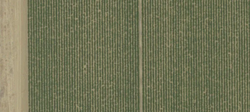 Huron, CA 93234
