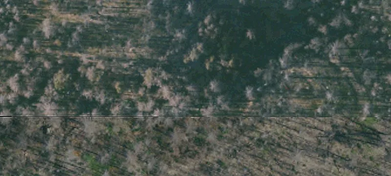Elk Creek, CA 95939