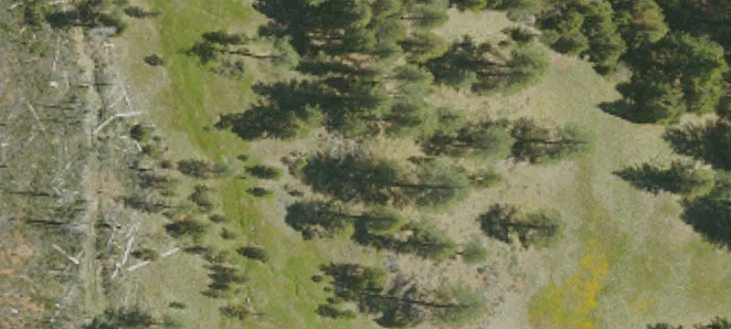 Laytonville, CA 95454