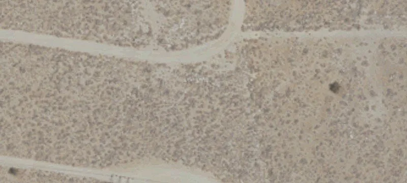 Whitewater, CA 92282