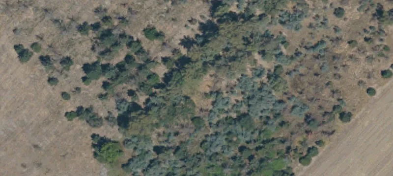 Anderson, CA 96007