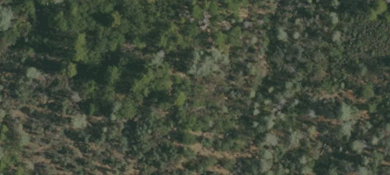 Oak Run, CA 96069
