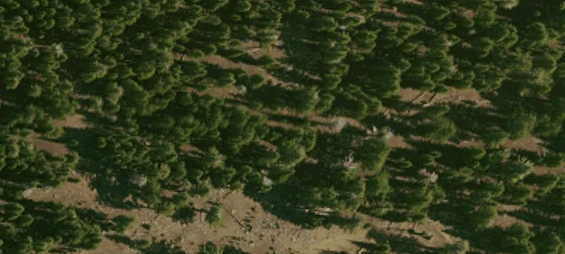 Sierraville, CA 96126