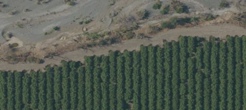Orland, CA 95963