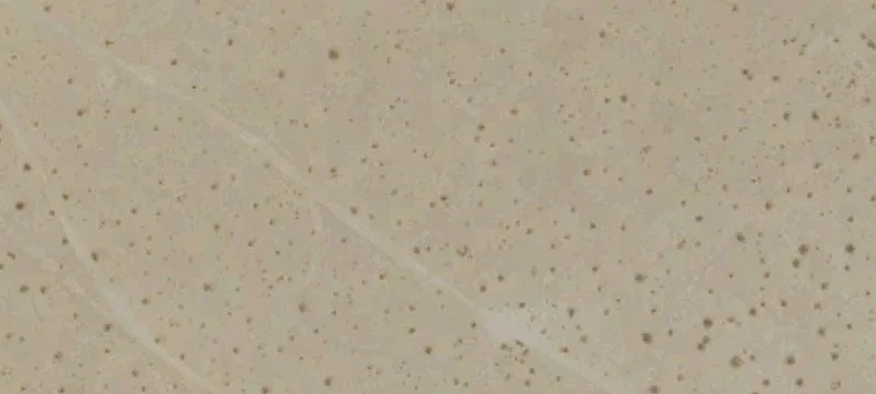 Ridgecrest, CA 93555