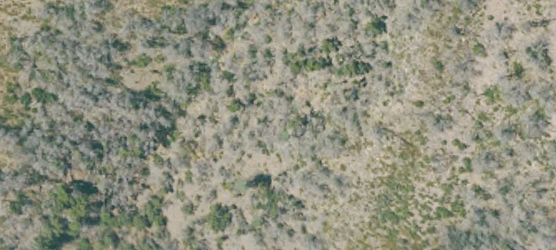 French Gulch, CA 96033