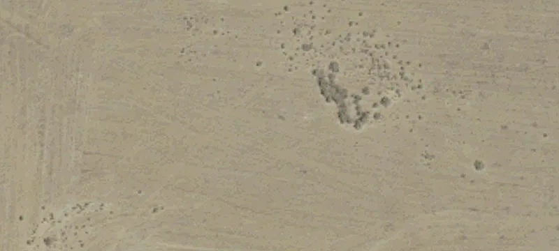 Lost Hills, CA 93249