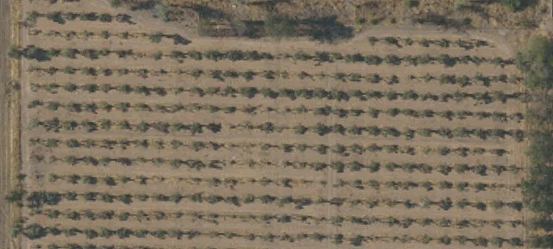 Corning, CA 96021