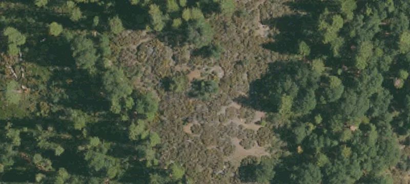 Alleghany, CA 95910