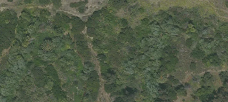 5600 Carbon Cyn Rd