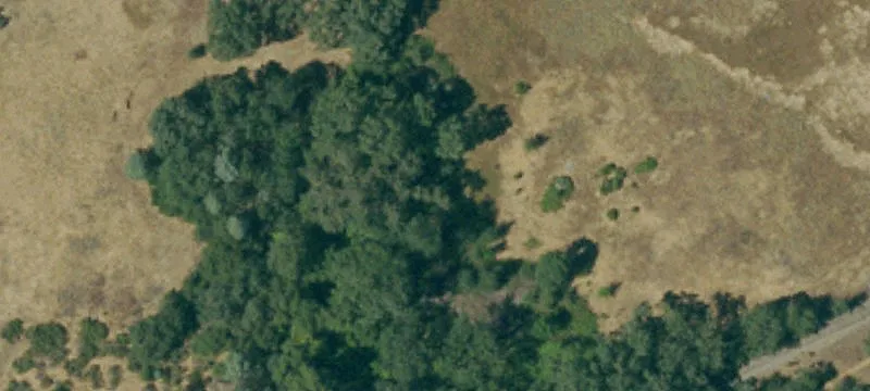 Shingle Springs, CA 95682