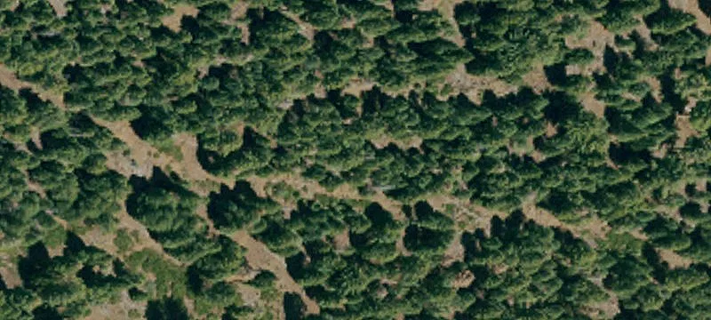 Susanville, CA 96130