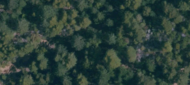 Guerneville, CA 95446