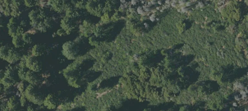 French Gulch, CA 96033