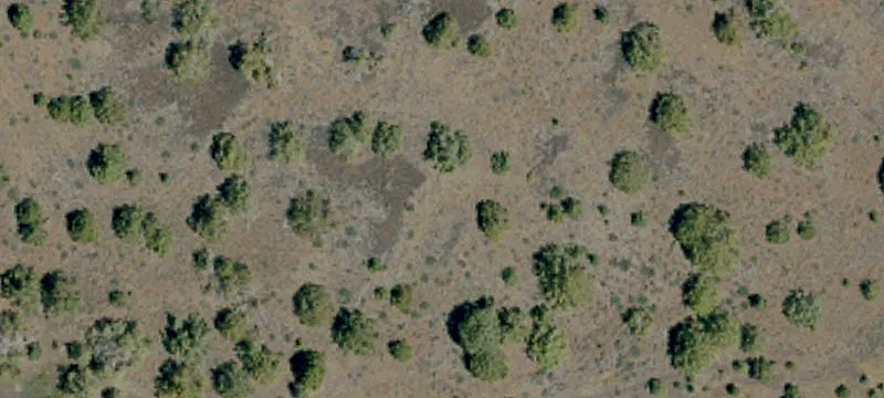 Ravendale, CA 96123