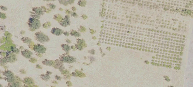Esparto, CA 95627