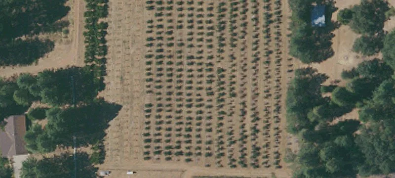 Camino, CA 95709