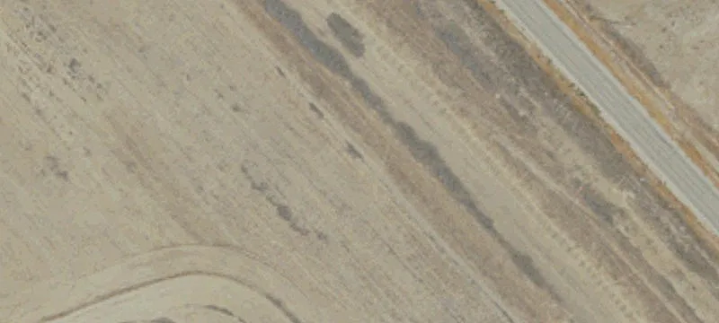 Lost Hills, CA 93249