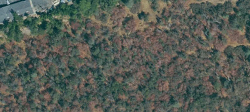 Coarsegold, CA 93614