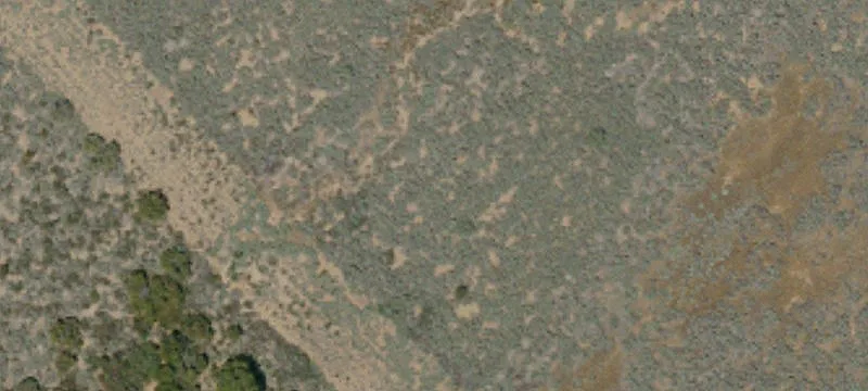 Anza, CA 92539