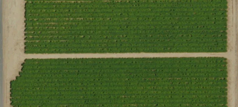Bakersfield, CA 93307