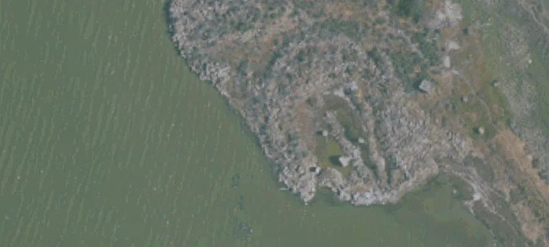 Alviso, CA 95002