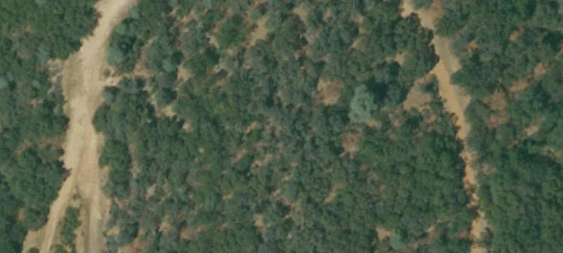 Placerville, CA 95667