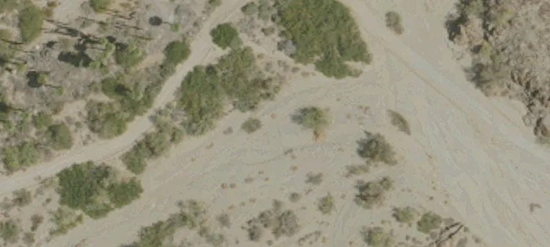 Desert Center, CA 92239