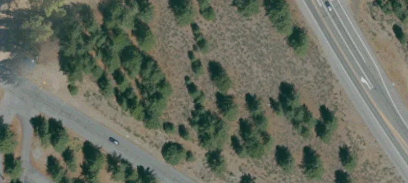 Truckee, CA 96161