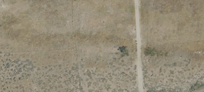Walker, CA 96107