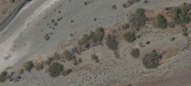 Orland, CA 95963