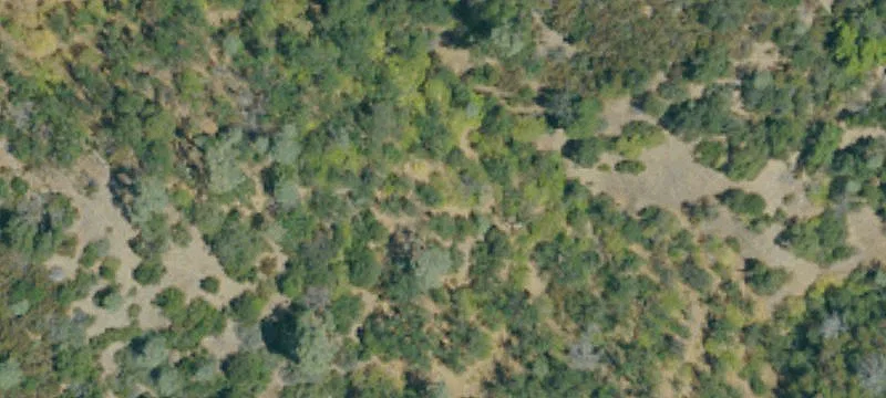 Laytonville, CA 95454