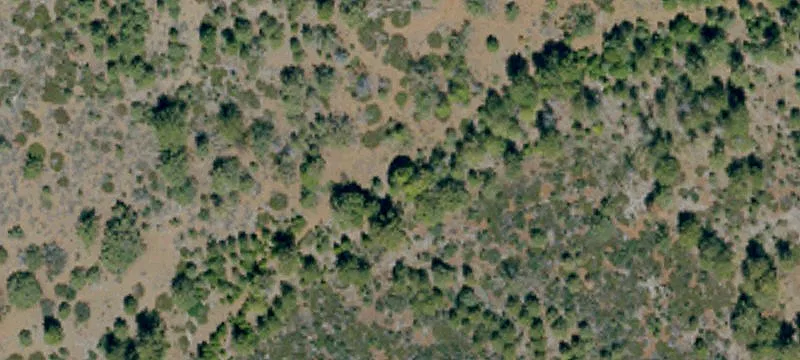 Bieber, CA 96009